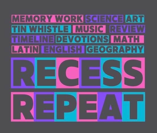 Gildan Softstyle® T-Shirt Foundation