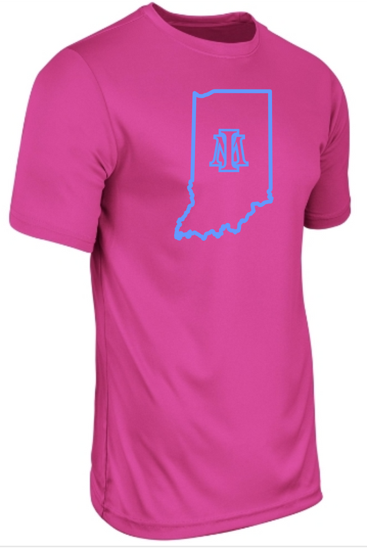 Champro Dri Fit T Shirt (BABY BLUE OR PINK)
