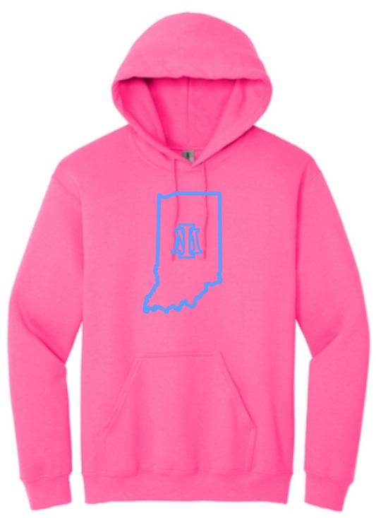 Gildan - Heavy Blend™ Hooded Sweatshirt (BABY BLUE OR PINK)